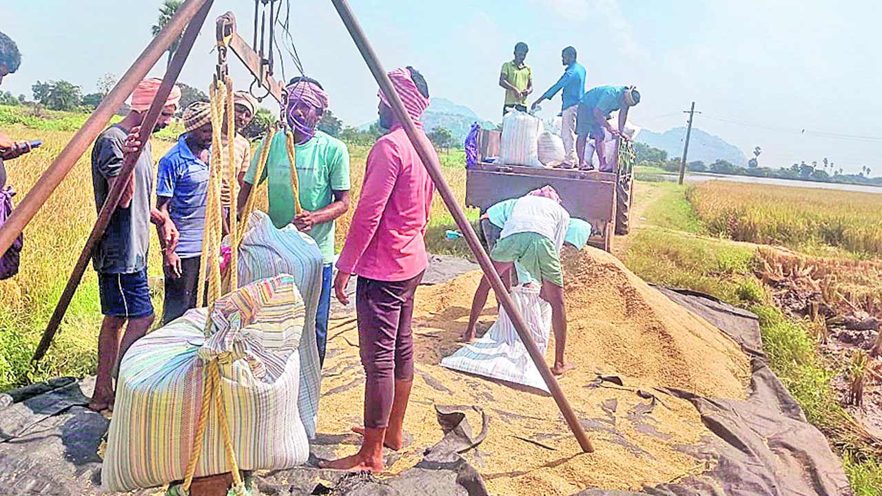 కల్లంలోనే కాంటా!