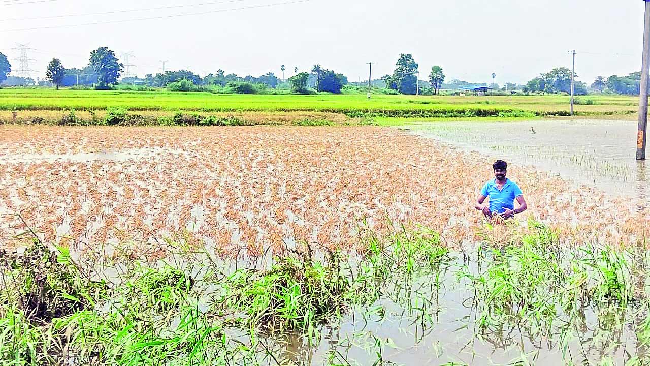 అన్నదాతకు యంత్ర భారం!