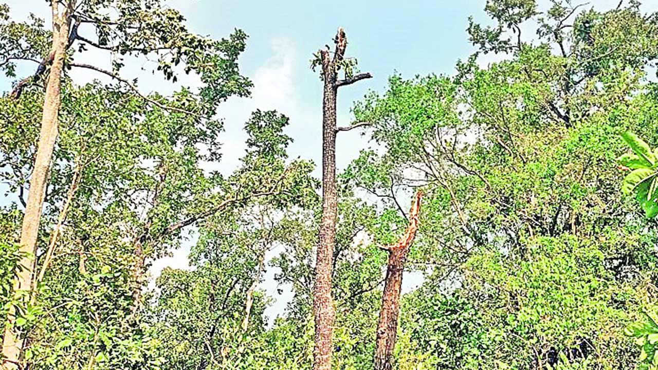 మరో సుడిగాలి బీభత్సం