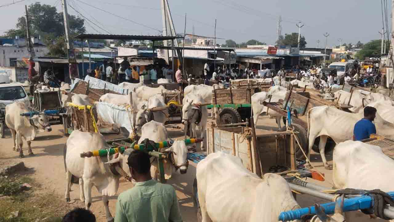 రాజోళిలో ఇసుక లొల్లి..