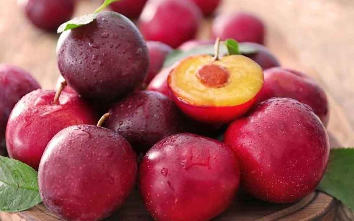 Alubukhara Fruits | ఆలుబుఖ‌ర పండ్ల‌ను రోజూ తింటే ఎన్ని అద్భుత‌మైన ప్ర‌యోజ‌నాలు క‌లుగుతాయో తెలుసా..?