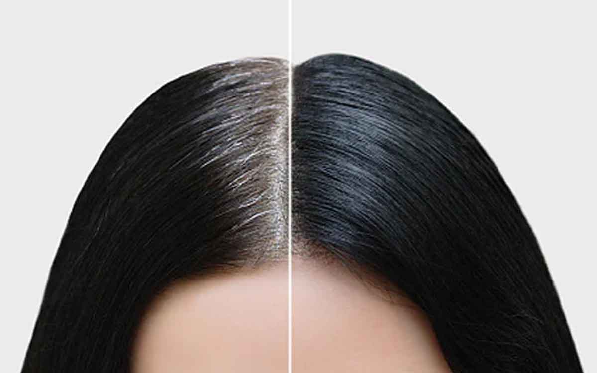 Black Hair | తెల్ల‌గా మారిన మీ జుట్టును అత్యంత స‌హ‌జ‌సిద్ధంగా ఇలా న‌ల్ల‌గా మార్చుకోండి.. ఈ చిట్కాల‌ను పాటించండి..!