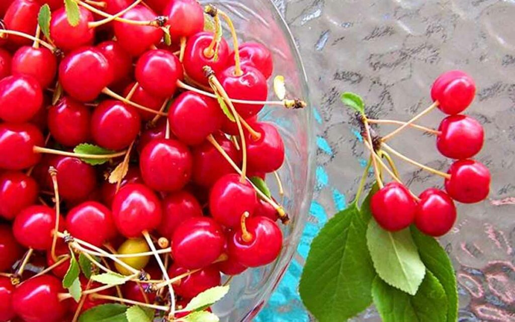 Cherries
