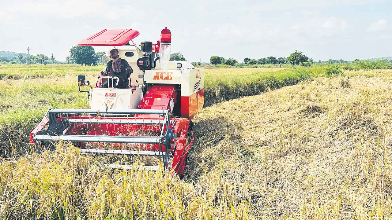 వరి కోత.. కన్నీటి వెత