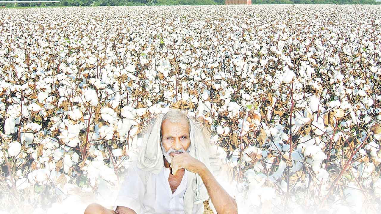 ఎకరాకు ఏడు క్వింటాళ్లే!