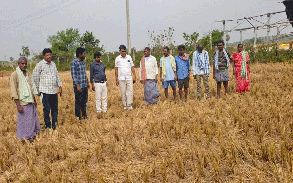 Arvapally : వ‌రి కొయ్యల‌ను కాలిస్తే భూమిలో జీవం హ‌రిస్తుంది : డీఏఓ శ్రీ‌ధ‌ర్‌రెడ్డి