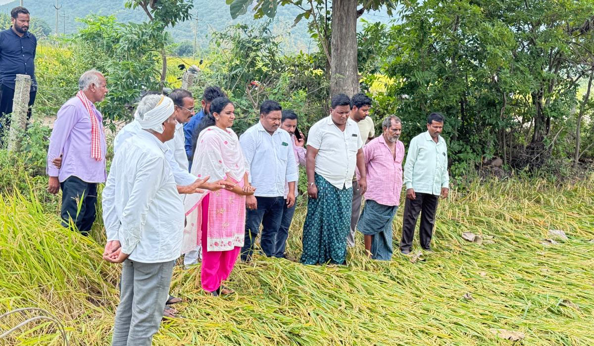 Dava Vasantha | పంట నష్టపోయిన రైతాంగానికి నష్ట పరిహారం చెల్లించాలి.. జగిత్యాల జడ్పీ మాజీ చైర్‌పర్సన్‌ దావ వసంత