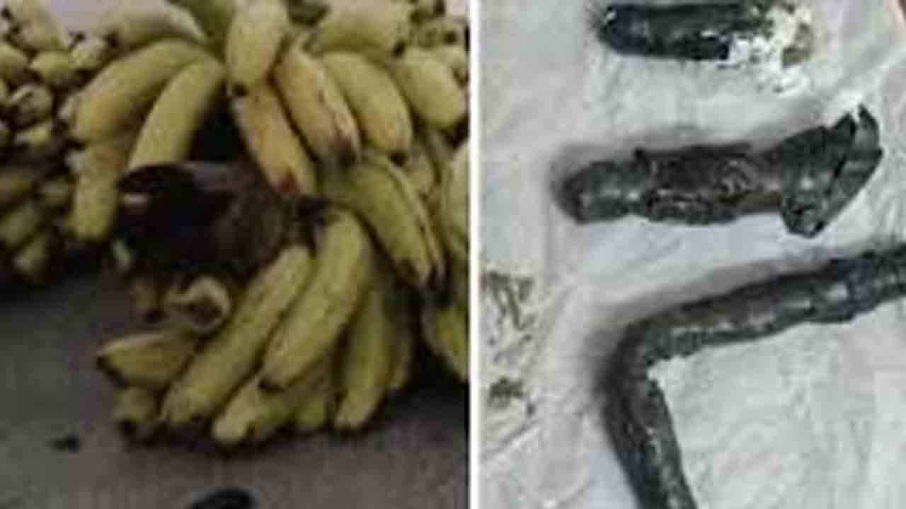 శివమొగ్గ జైల్లో ఖైదీలకు డ్రగ్స్‌ సరఫరా!?