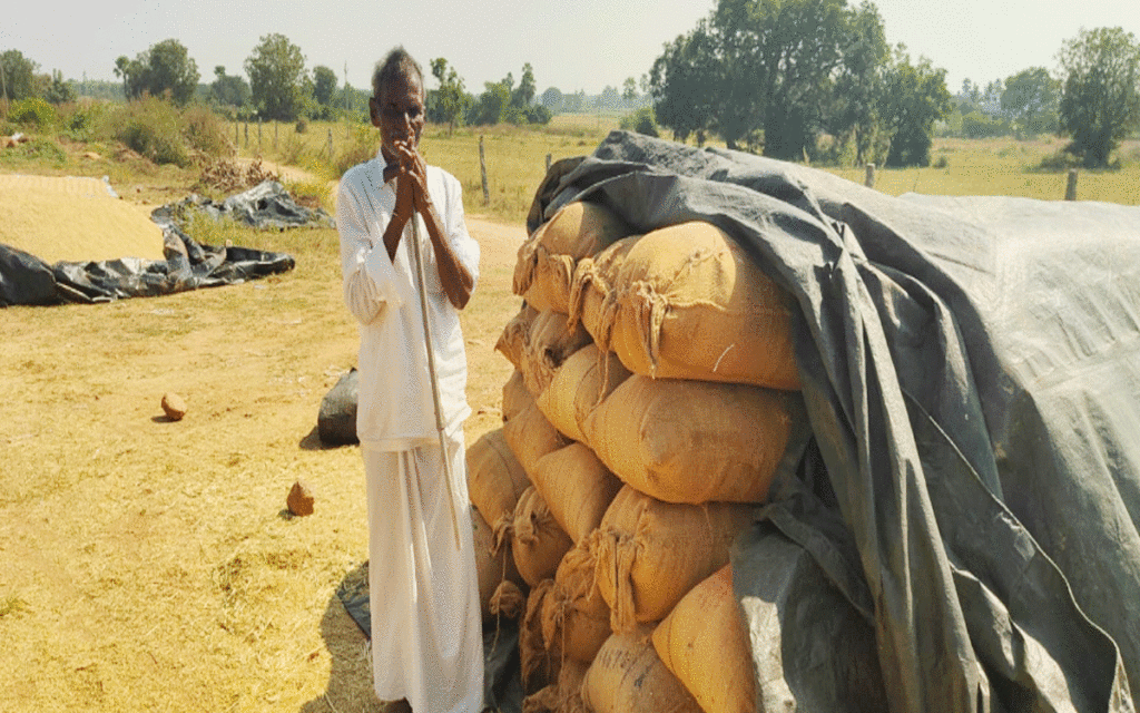 Rajapet : రైతుకు బాసటగా వ్యవసాయ అధికారి పద్మజ