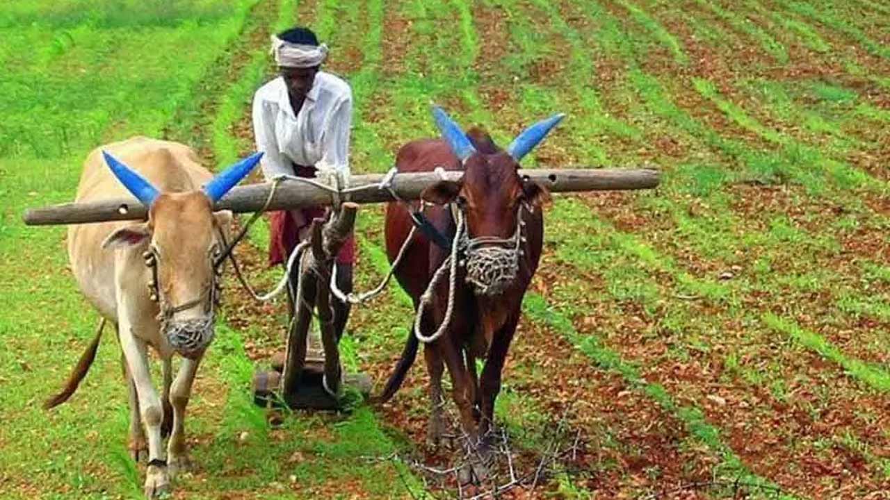 AP News | రైతులకు ఏపీ సర్కార్‌ గుడ్‌న్యూస్‌.. ఈ నెల 19న అకౌంట్‌లోకి డబ్బులు!