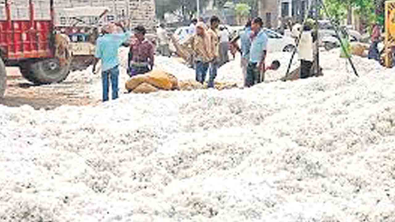 దూది రైతుల బాధ పట్టేదెవరికి?