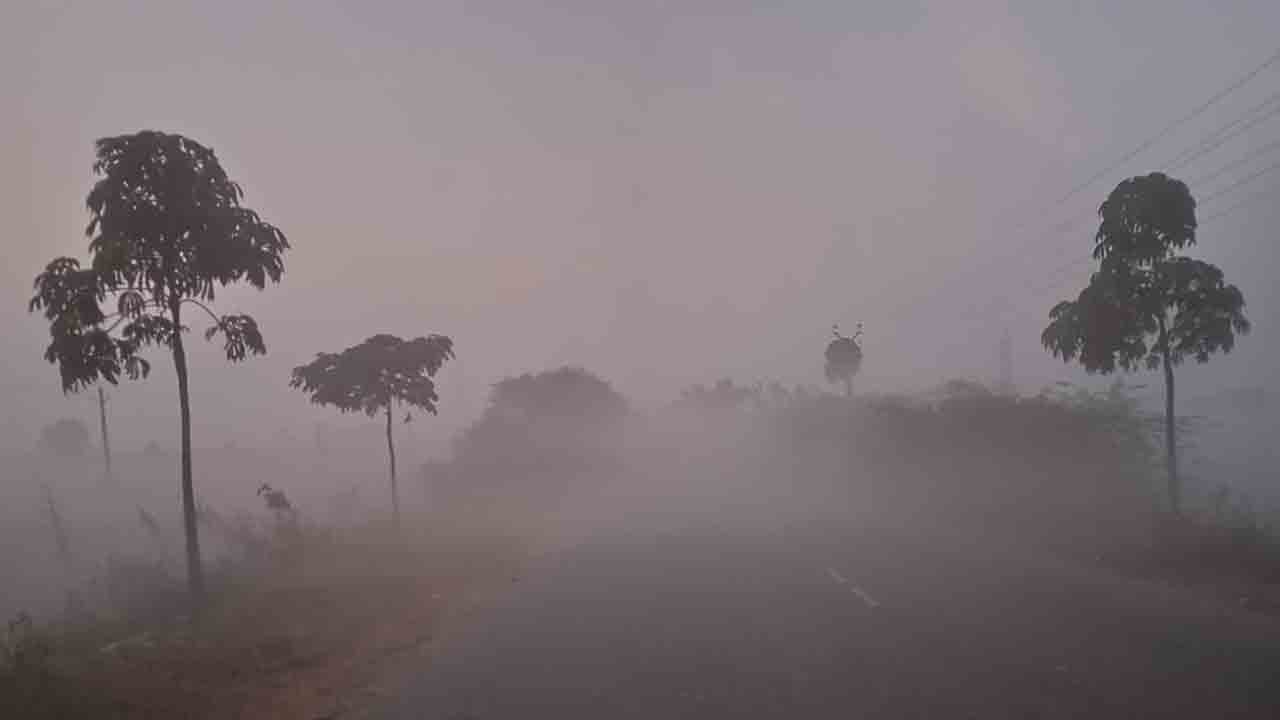 Rayapol | కమ్ముకున్న మంచు దుప్పటి.. చలి పులితో వణుకుతున్న గ్రామాలు