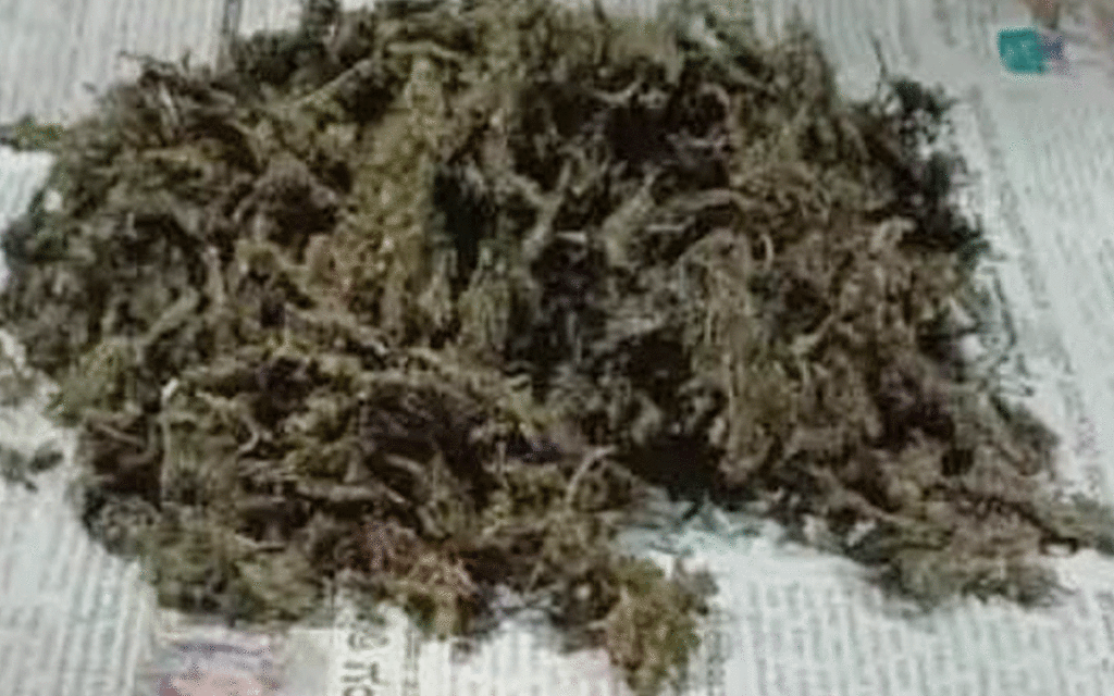 Penpahad : మాచారం వ‌ద్ద‌ కేజీ 400 గ్రాముల గంజాయి పట్టివేత