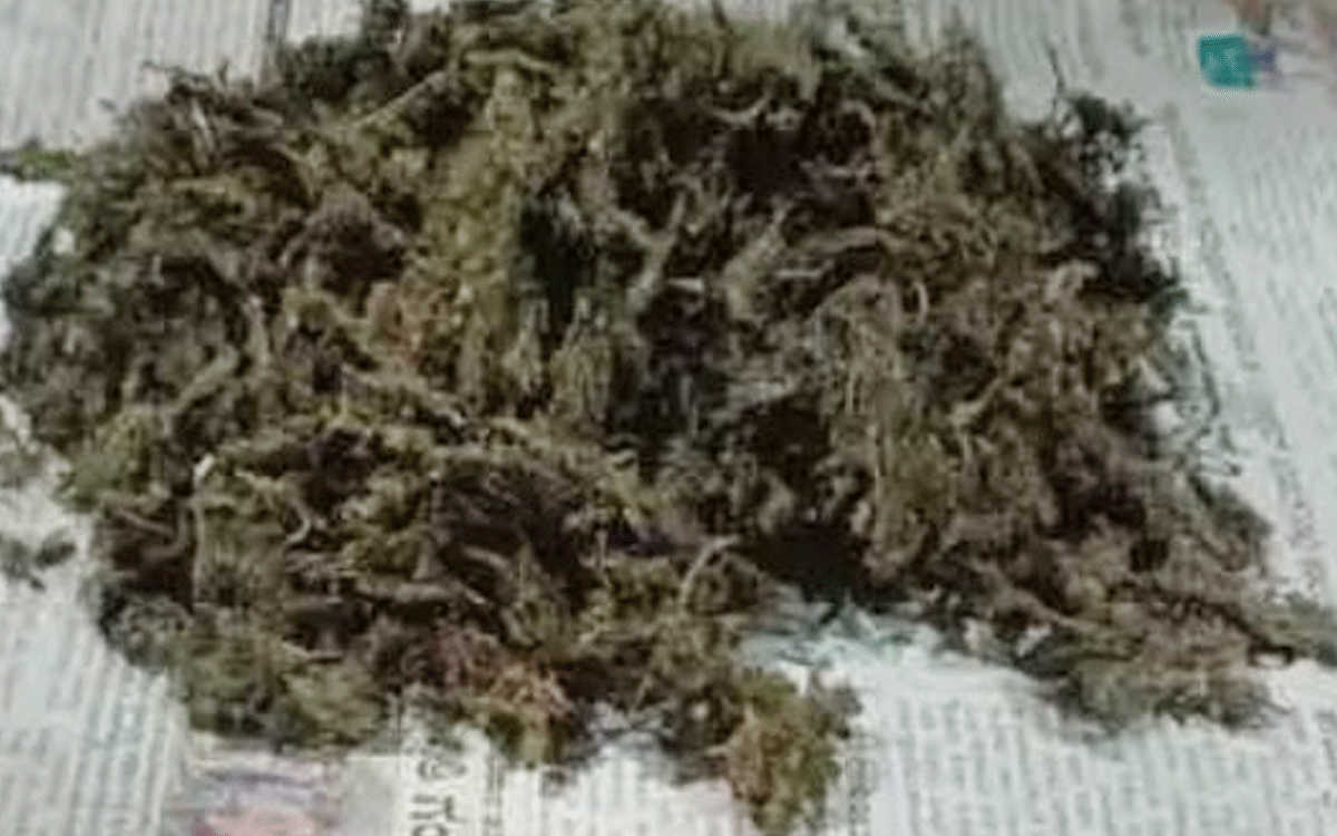 Penpahad : మాచారం వ‌ద్ద‌ కేజీ 400 గ్రాముల గంజాయి పట్టివేత