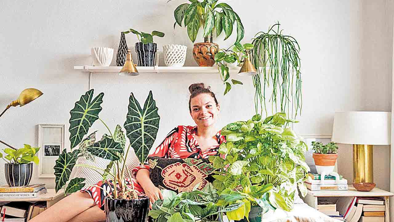 తక్కువ పచ్చదనంతోనే మంచి మూడ్‌.. స్టాన్‌ఫోర్డ్‌ తాజా అధ్యయనం వెల్లడి