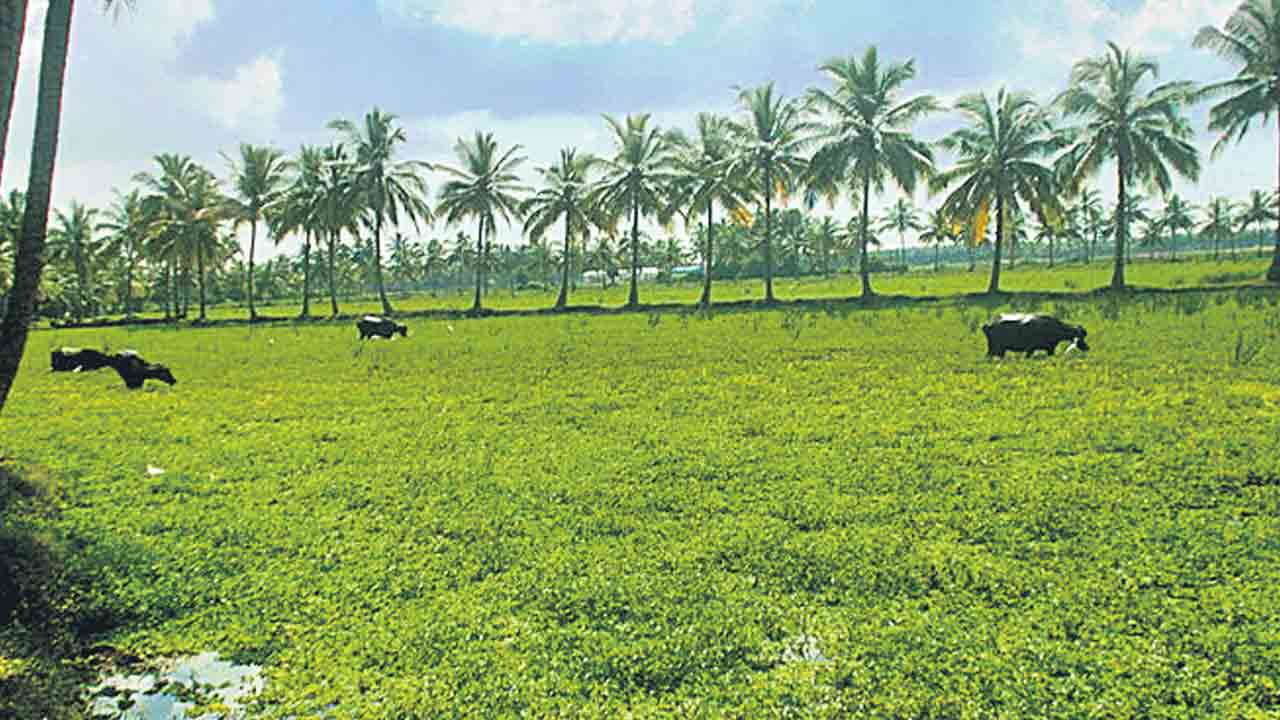 పచ్చని పొలాల్లో గ్రీన్‌ ఫీల్డ్‌ చిచ్చు!