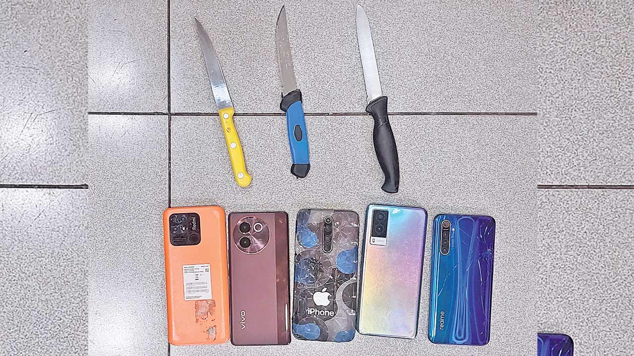 పనిచేస్తున్న ఇంట్లో దోపిడీకి యత్నం