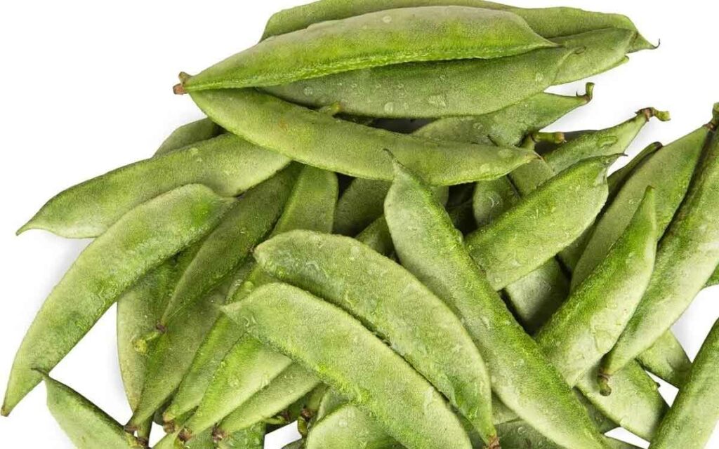 Indian Broad Beans