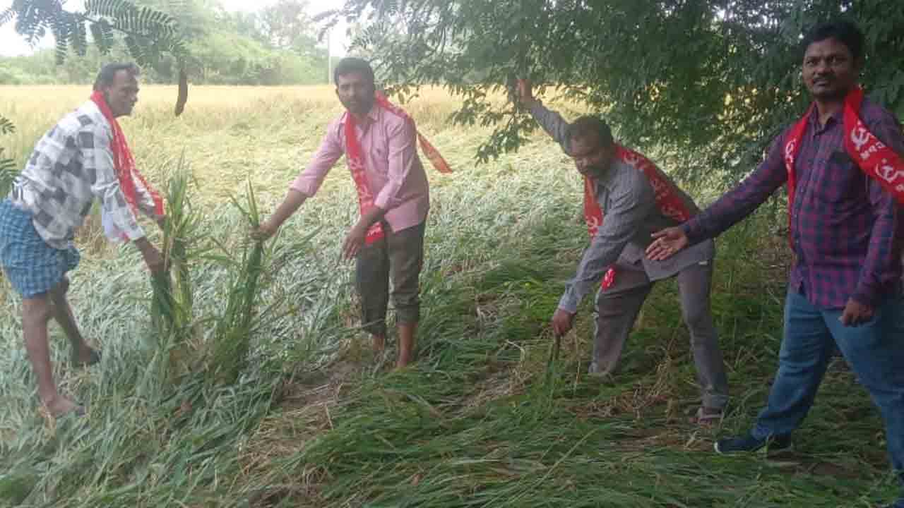 Kazipet | పంటలు నష్టపోయిన రైతులను ప్రభుత్వం ఆదుకోవాలి : ఓరుగంటి సాంబయ్య