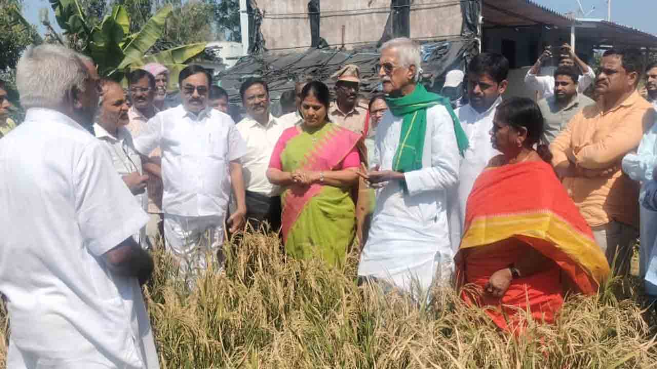 Kodanda Reddy | కూరగాయల సాగును పెంపొందించాలి : కోదండరెడ్డి