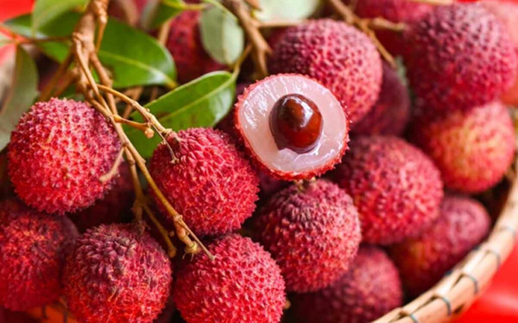 Litchi