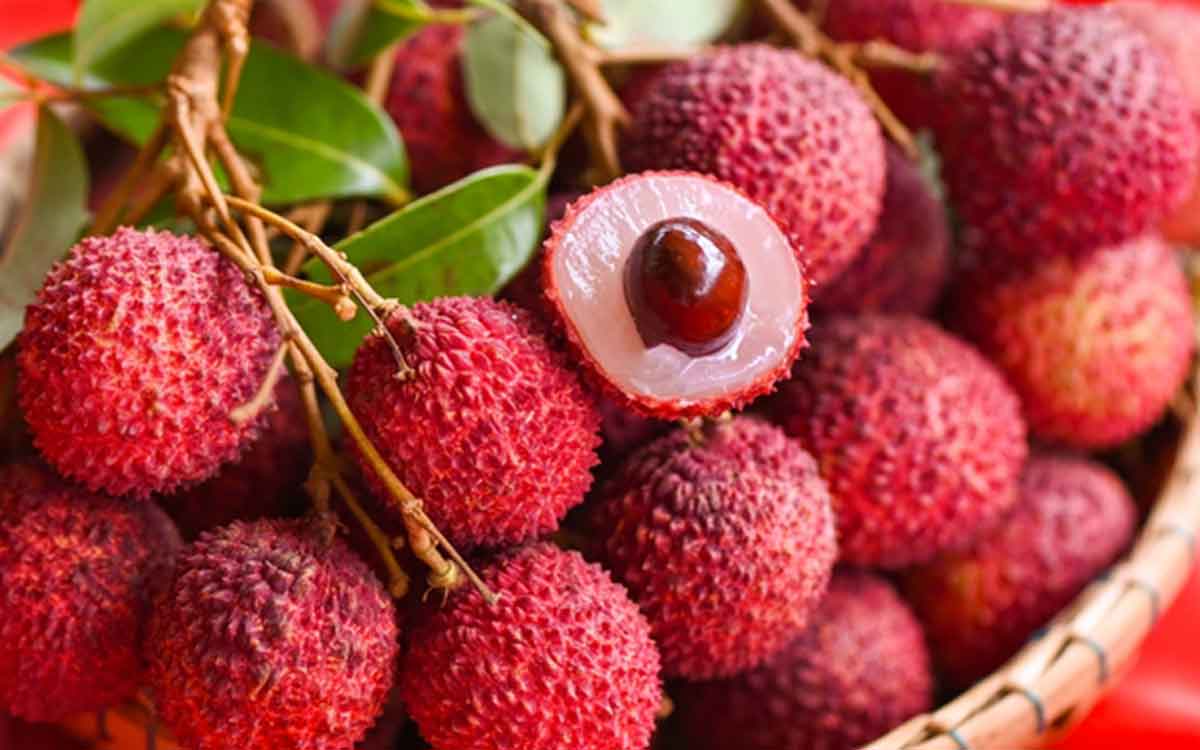 Litchi Fruits | లిచి పండ్ల‌ను మీరు ఎప్పుడైనా తిన్నారా..? ఈ లాభాలు తెలిస్తే విడిచిపెట్ట‌కుండా తింటారు..!