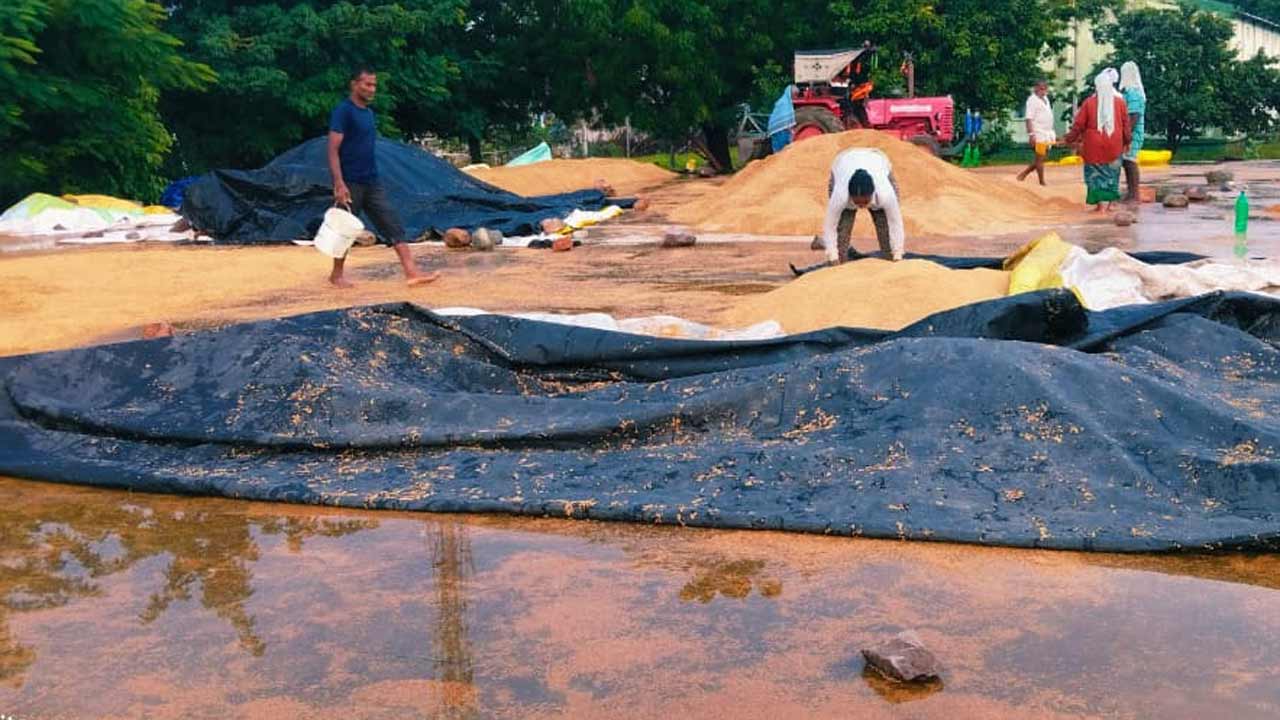 అకాల వర్షానికి తడిసిన ధాన్యం