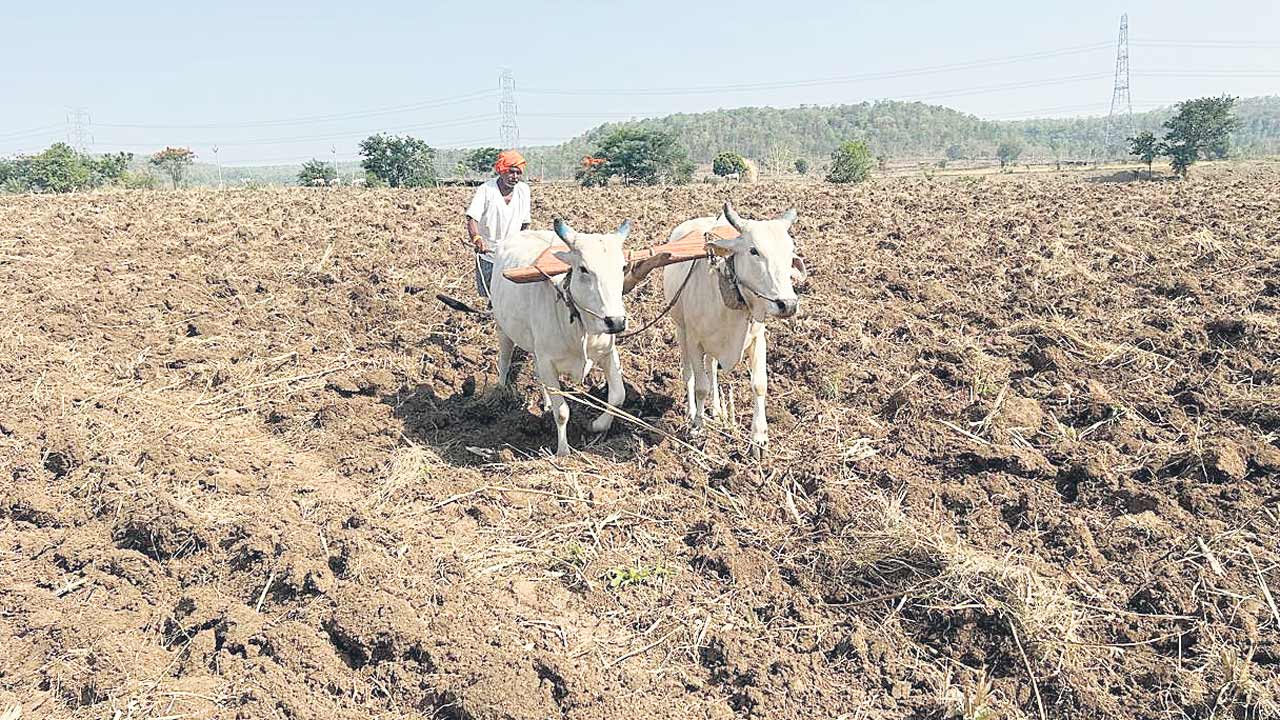యాసంగి సాగేనా?