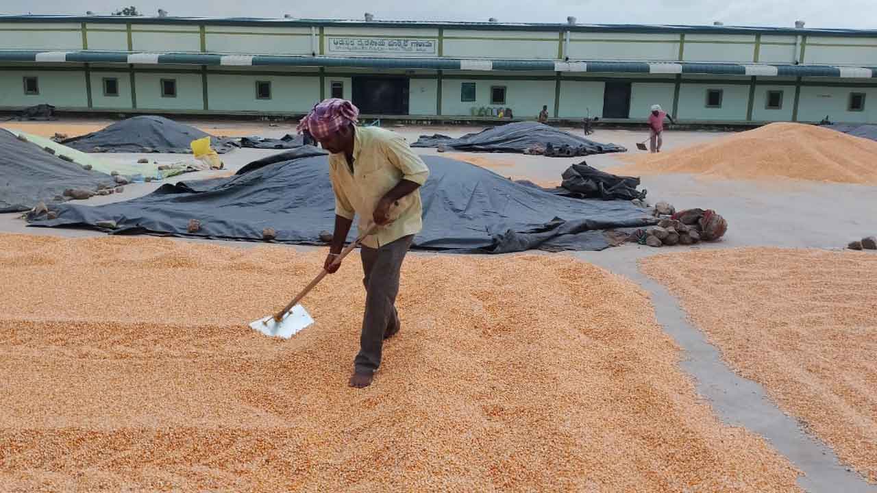రైతు ఉసురు తీస్తున్న ప్రభుత్వం