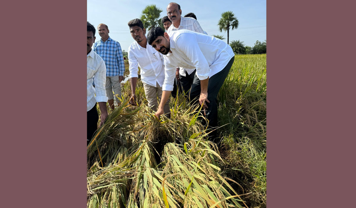 MLA Padi Kaushik Reddy | వరికి రూ.25వేలు, పత్తికి రూ.50వేల నష్టపరిహారం చెల్లించాలి.. హుజురాబాద్‌ ఎమ్మెల్యే పాడి కౌశిక్‌ రెడ్డి డిమాండ్‌