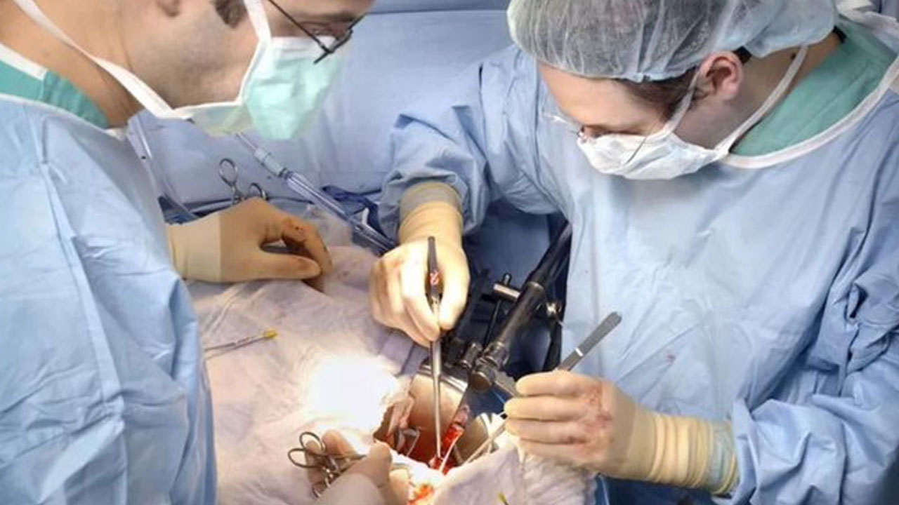 Organ Transplantation: అవ‌య‌వ దానంపై జాతీయ విధానం రూపొందించండి.. కేంద్రాన్ని కోరిన సుప్రీంకోర్టు