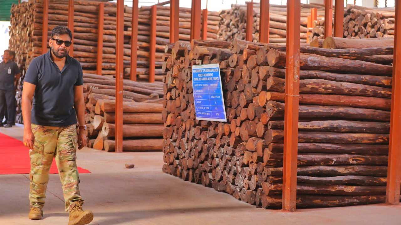 ఏ, బీ. సీ, నాన్ గ్రేడ్ ల వారీగా దుంగల వివరాలు అడిగి తెలుసుకున్నారు. ప్రతి గోడౌన్ లో రికార్డులు పరిశీలించారు.