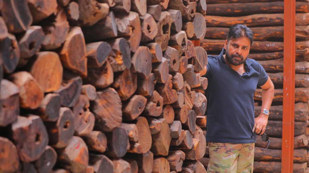 8 గోడౌన్లలో ఉన్న ఎర్రచందనం లాట్ల వివరాలు అడిగి తెలుసుకున్నారు. 