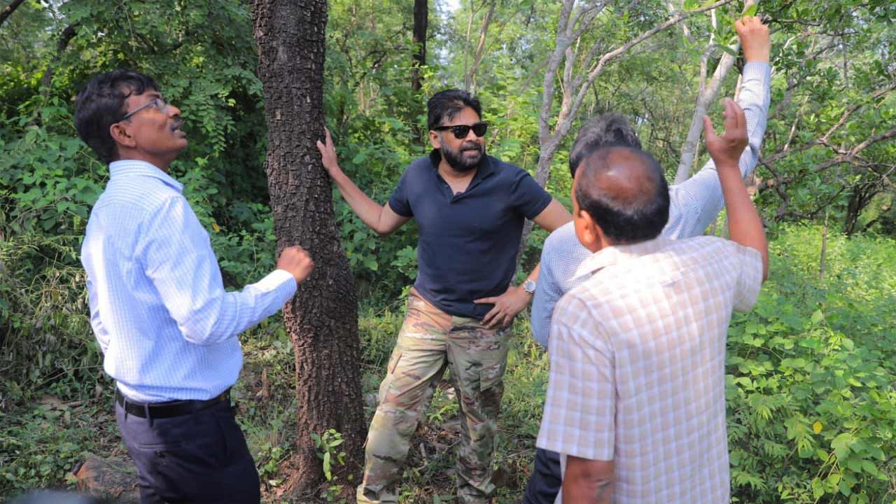తిరుపతి జిల్లా మామండూరు అటవీ ప్రాంతాన్ని పరిశీలించిన ఏపీ డిప్యూటీ సీఎం పవన్ కల్యాణ్‌