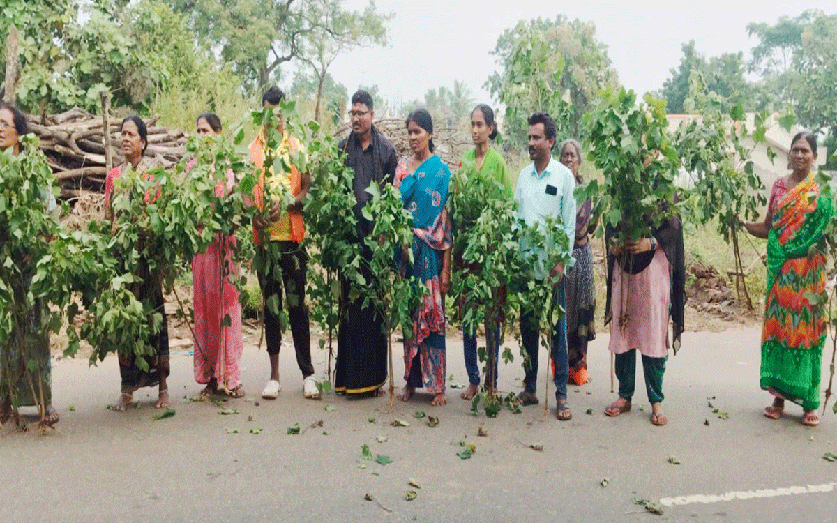 Chandrugonda : పోడు భూముల్లో పత్తి పంట ధ్వంసం చేసిన ఫారెస్ట్ అధికారులు