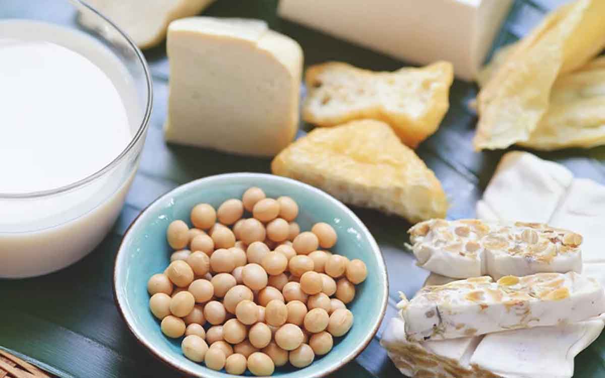 Pro Biotic Foods | ప్రొ బ‌యోటిక్ ఆహారాలు అంటే ఏమిటి..? వీటి వ‌ల్ల మ‌న‌కు ఎలాంటి లాభాలు క‌లుగుతాయి..?