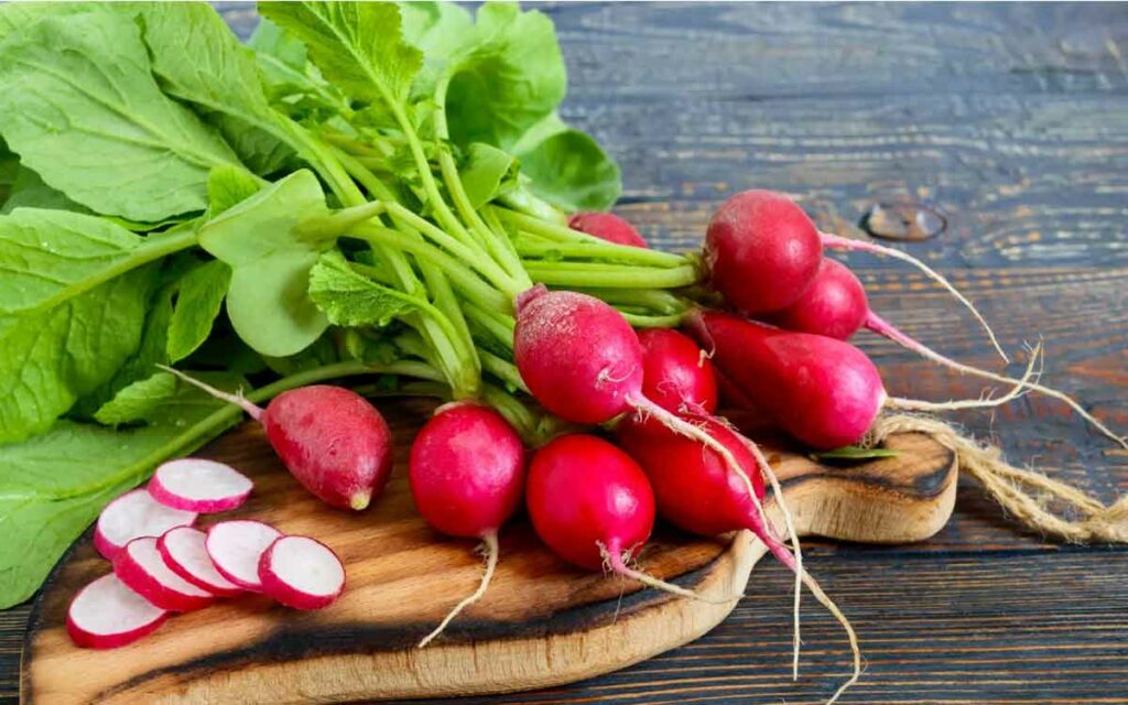Red Radish