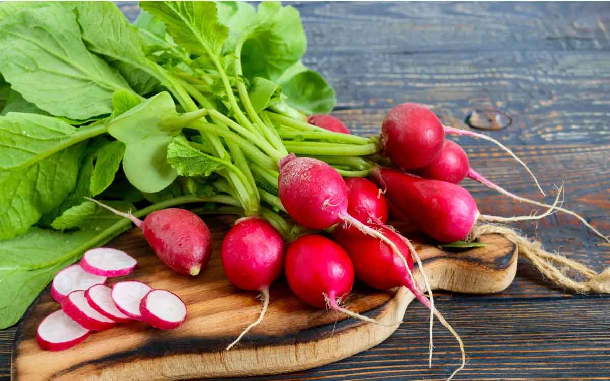 Red Radish | ఎరుపు రంగు ముల్లంగిని లైట్ తీసుకోకండి.. దీంతో క‌లిగే లాభాలు తెలిస్తే ఆశ్చ‌ర్య‌పోతారు..