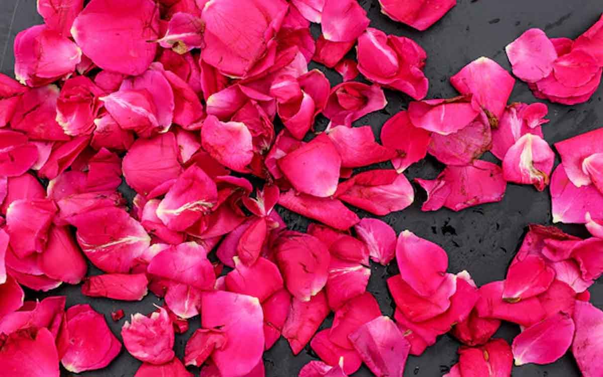 Rose Petals For Beauty | గులాబీ పువ్వుల రెక్క‌ల‌ను ఇలా నాచుర‌ల్‌గా ఉప‌యోగించి మీ అందాన్ని మ‌రింత పెంచుకోండి..!