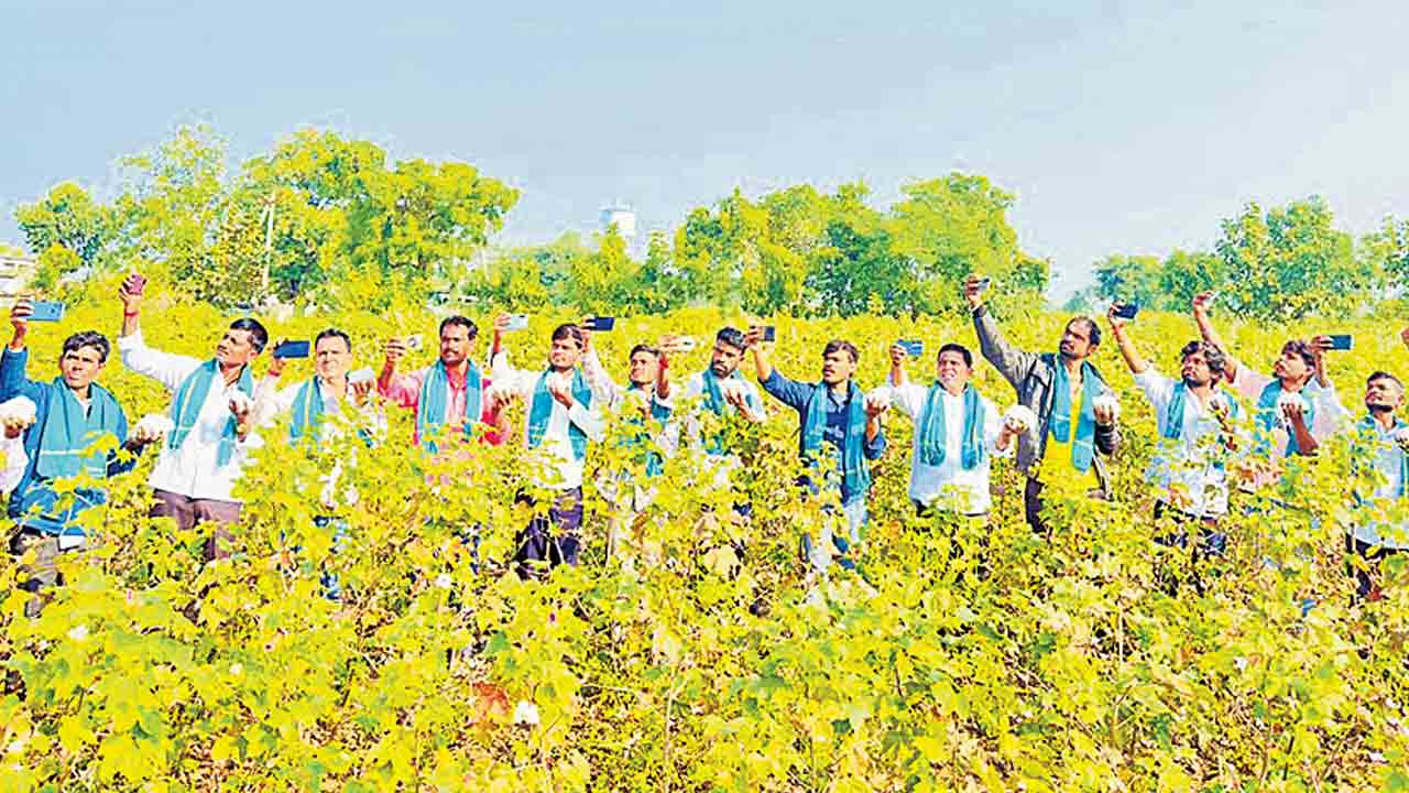 పత్తితో రైతన్న సెల్ఫీ