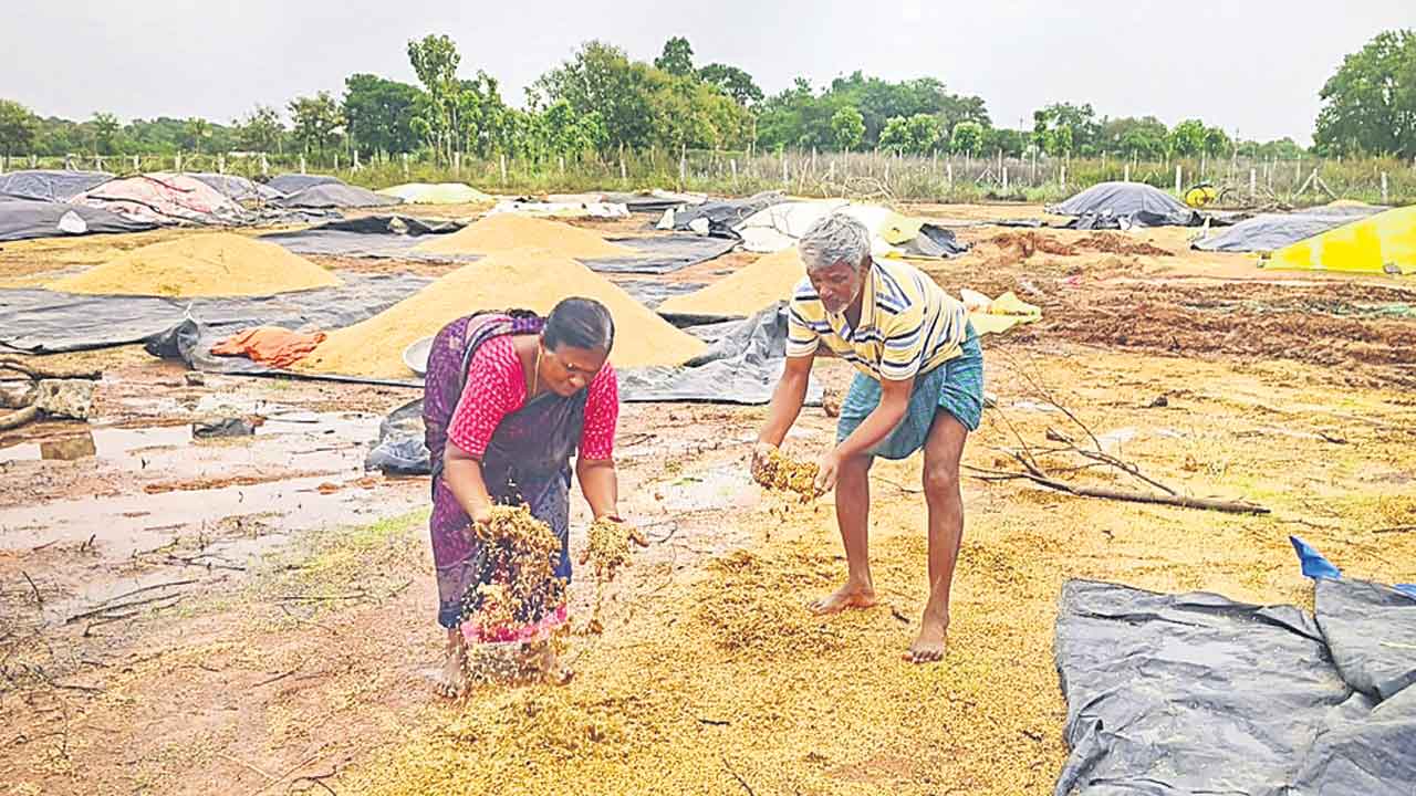 కాళ్లు మొక్కినా కనికరించని మిల్లర్లు