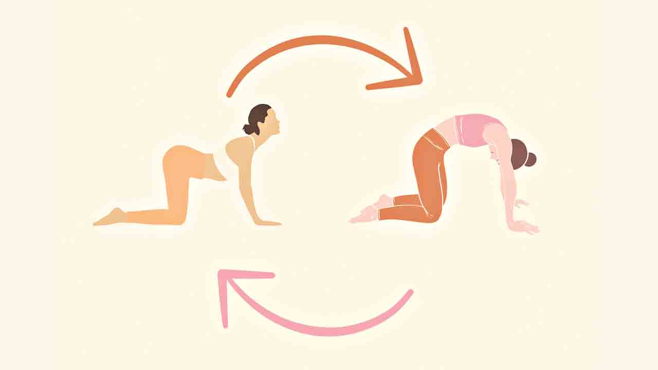 Stretching Exercises