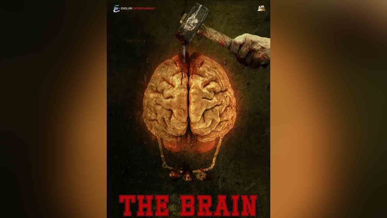 Thebrain 1