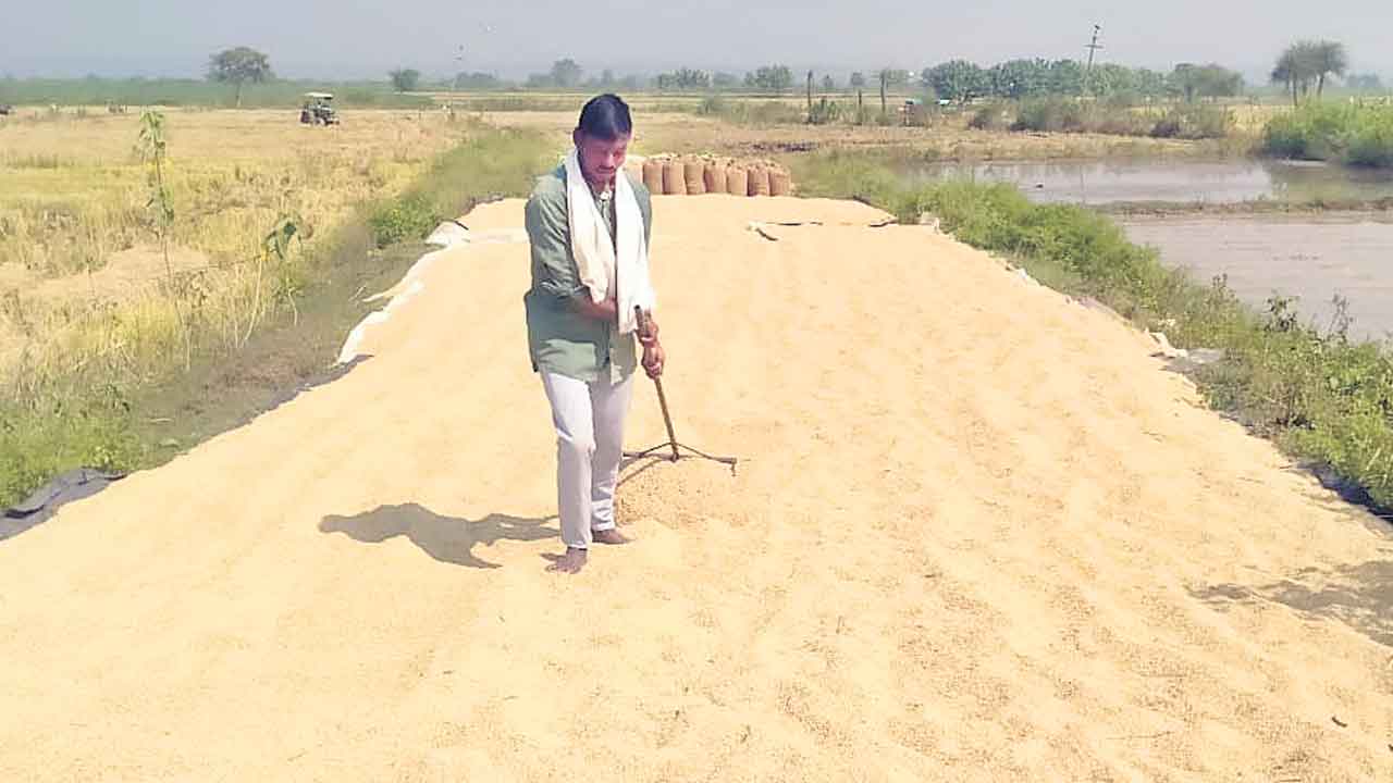 వడ్లు కొనే దిక్కులేక.. క్షేత్రస్థాయిలో ప్రారంభంకాని కొనుగోలు కేంద్రాలు