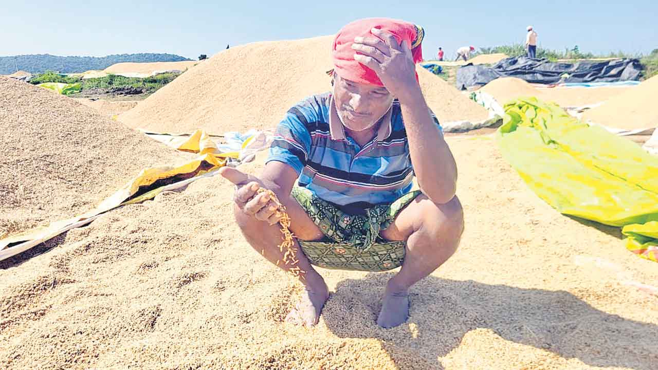 అన్నదాత అరిగోస వడ్లు కొనే వారేరి?