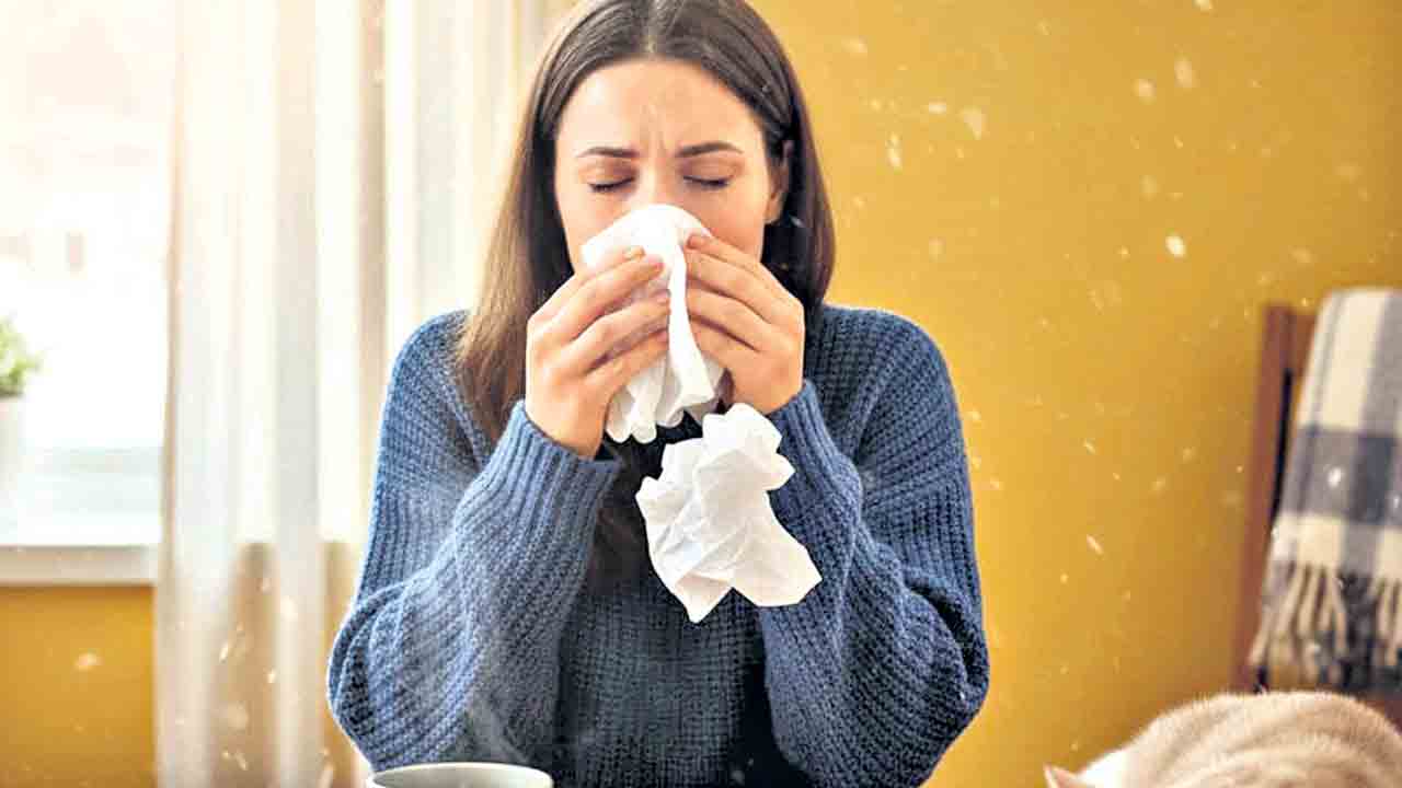 ముక్కు దిబ్బడ పరార్‌