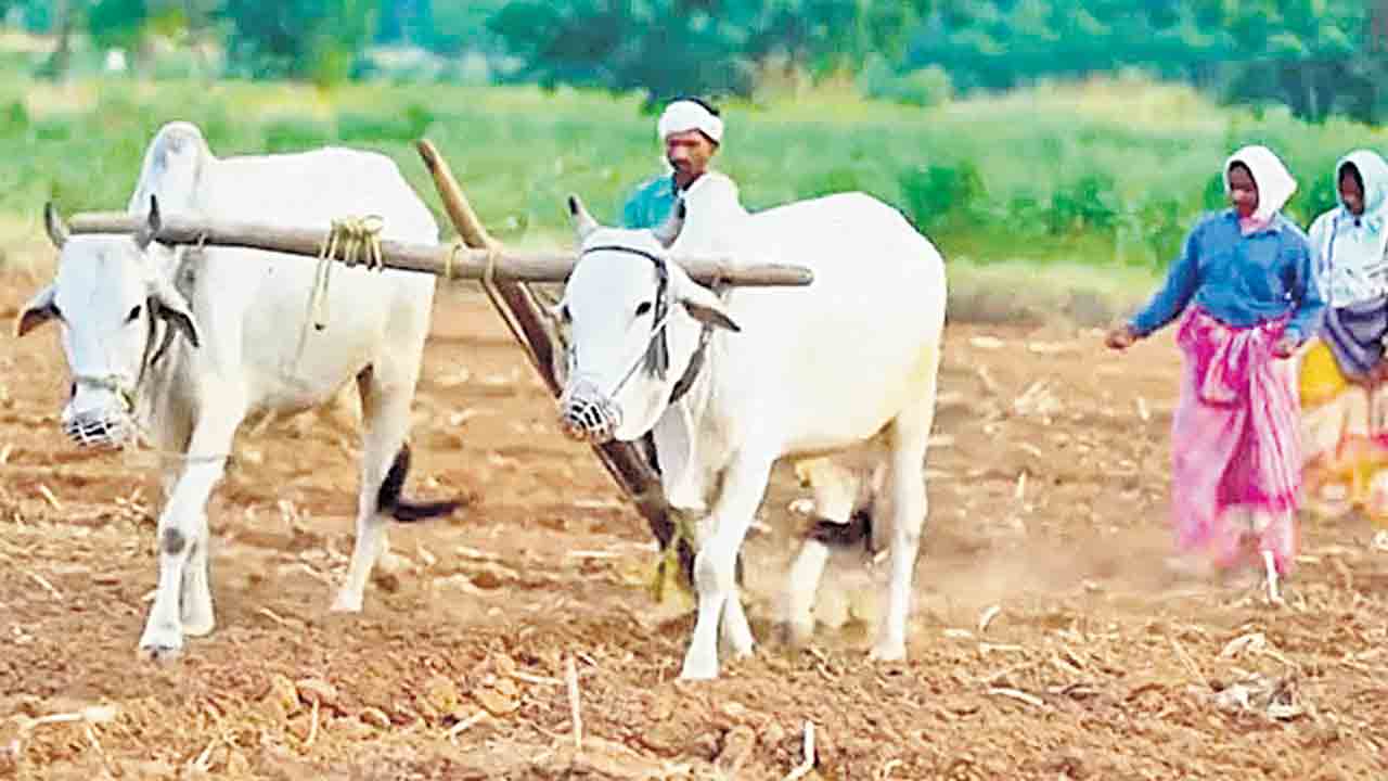 భూమితల్లి మానస పుత్రుడు కేసీఆర్‌