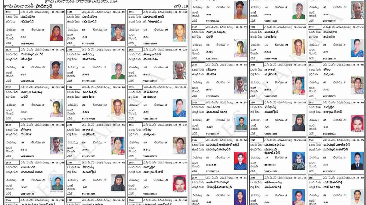 తప్పుల తడక!