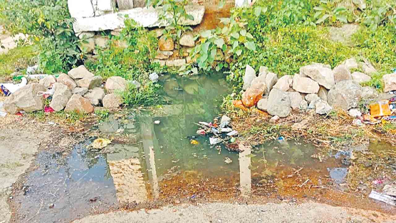 చిన్నబోయిన పల్లె ! నాడు వైభవం.. నేడు దయనీయం