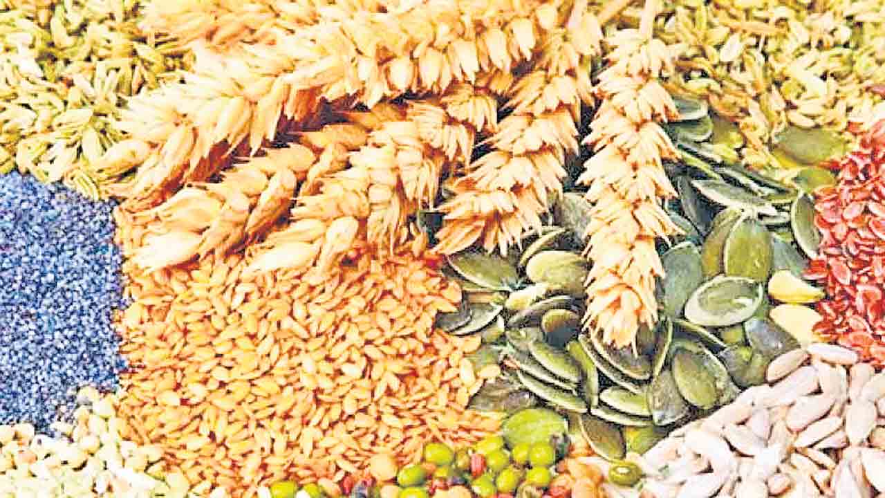 2025 విత్తన బిల్లు ఎవరి కోసం?